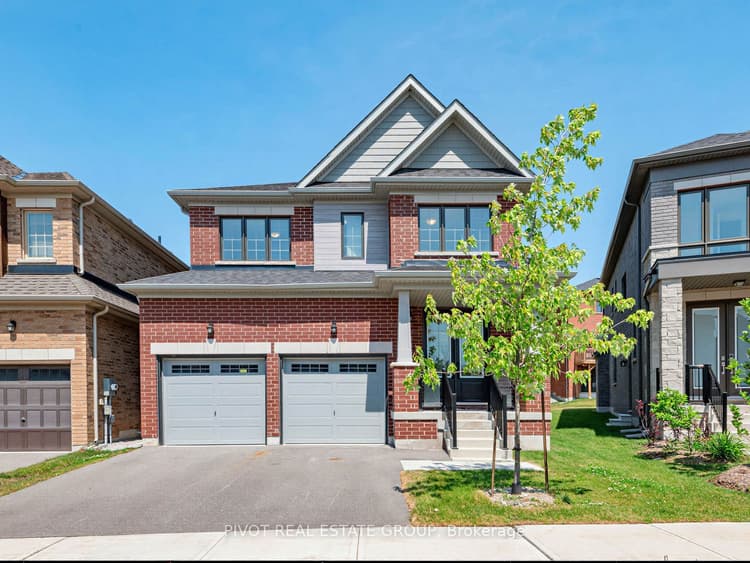 31 Sassafras Road