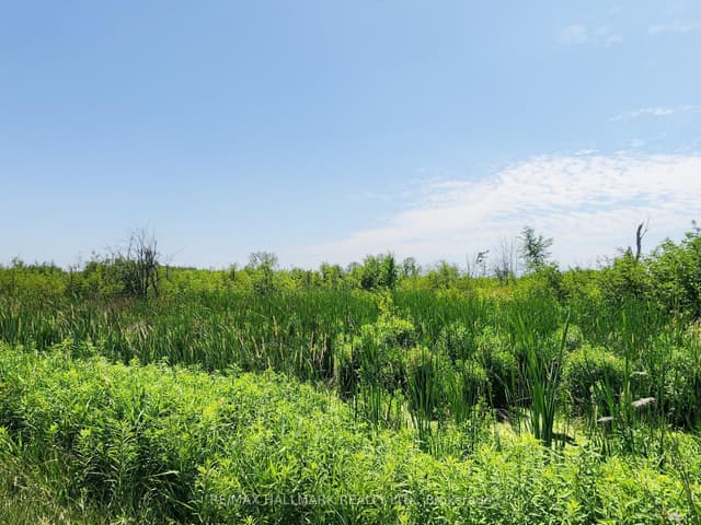 Vacant Land at 20200 Highway 48, East Gwillimbury, ON L0G 1M0